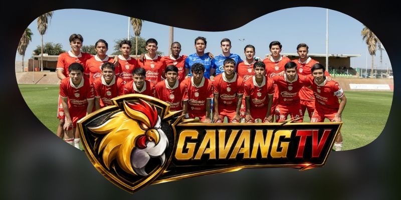 Tổng hợp dự đoán kèo Club Leon vs FC Juarez ngày 28/09 theo nhịp bùng nổ